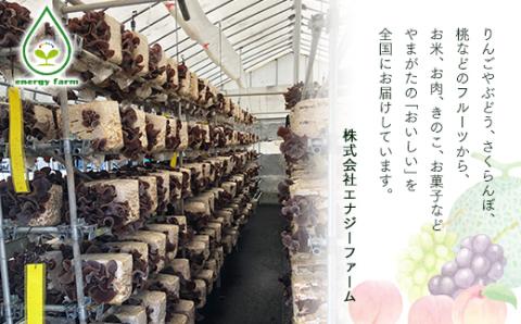 《先行予約》雪若丸・つきあかり・あきたこまち 食べ比べセット 15kg 精米 米 お米 おこめ 山形県 新庄市 F3S-1736