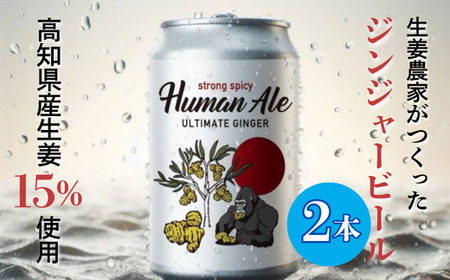 ジンジャービール 350ml 2本セット 【 高知県 生姜 ビール 缶ビール セット 】