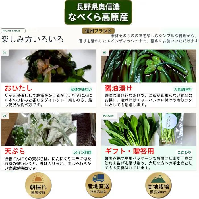 【令和9年産先行予約】行者にんにく 忍 500ｇ入り　1箱(70枚～75枚)《出荷時期：2027年5月中旬頃〜》株式会社ForestDoor (Ce-012)
