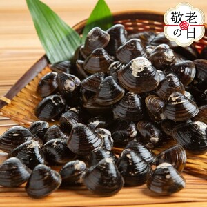 21-65 【敬老ギフト】冷凍砂出ししじみドーンと2.5kgセット