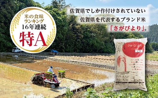 はがくれ農園のさがびより ※画像はイメージです