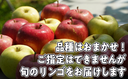 【1月～3月発送】家庭用 旬のリンゴ詰め合わせ 約10kg糖度13度以上【弘前市産・青森りんご】