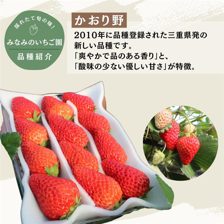 【先行予約＿2026年出荷分】 完熟いちご280g かおり野 4パック（DXパック） 【 かおり野 いちご 苺 イチゴ 果物 フルーツ くだもの 旬 伊豆 静岡県 期間限定 先行予約 】