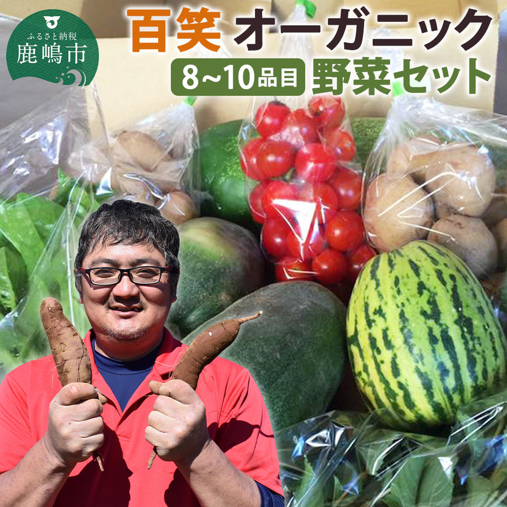 
【3ヶ月定期便】百笑オーガニック野菜セット（8～10品目）（KAG-2）
