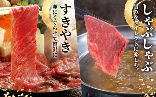 熊本あか牛 肩ロース 約500g 合同会社たべたせいか《30日以内に出荷予定(土日祝除く)》熊本県 産山村 肉 牛肉 お肉 和牛 あか牛 ロース スライス すき焼き しゃぶしゃぶ 熊本県産 冷凍 送料