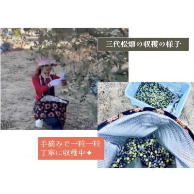 ふるさと納税 土庄町 季節限定　摘みたて100%小豆島産三代松家オリーブの新漬け80g×1袋 |  | 02