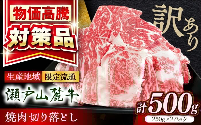 
                  【訳あり】【選べる発送月】瀬戸山麓牛 牛肉焼肉用切り落とし500g（250g×2P）/ 牛肉 切り落とし 牛肉切り落とし 小分け 国産 冷凍 / 瀬戸市 / 関屋精肉店 [BBBQ047]
                