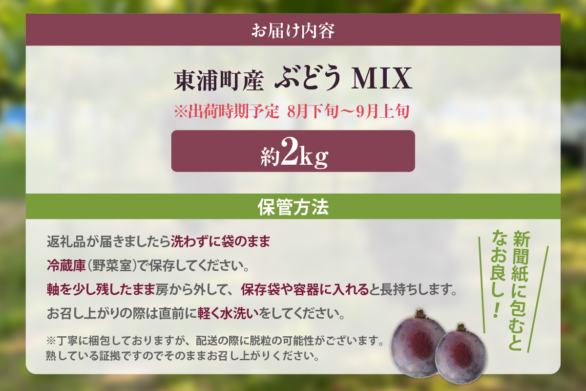 東浦町産 ぶどうMIX・約2kg｜ぶどう フルーツ 東浦町 2kg