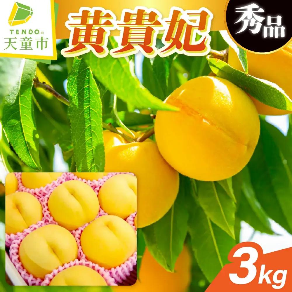 もも ( 黄貴妃 ) 3kg フルーツ 果物 山形 黄桃 モモ
