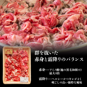 土佐あかうし 切り落とし 1パック 600g 焼肉 MT-01