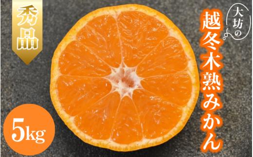 【2026年分先行予約】大坊の越冬木熟みかん 5kg ※2026年1月上旬～2月上旬頃に順次発送予定【期間限定・数量限定】 / みかん 蜜柑 5キロ お取り寄せ 産地直送 贈答品 ギフト 果物 くだもの フルーツ 田辺市 和歌山県【ymh022】
