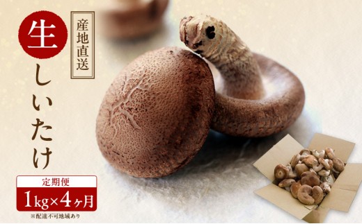 
            【 産地直送 】 有機JAS 生しいたけ定期便 1kg×4ヶ月 オーガニック しいたけ きのこ 野菜 岡山県 玉野市 栽培期間中化学肥料不使用 栽培期間中農薬不使用
          