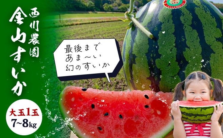 
                  金山すいか 大玉 1玉 西川農園《2027年5月上旬-5月中旬頃出荷》熊本県 荒尾市 スイカ すいか 西瓜 フルーツ 果物 大玉すいか 幻のすいか 1番すいか 
                
