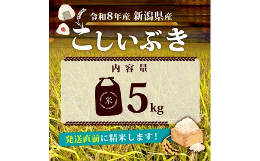 【令和8年産】 新潟県産 新米 こしいぶき 5kg 単品 新発田産 新潟 ふるさと納税 米 お米 白米 米 お米 こめ コメ ライス ご飯 ごはん 美味しい 贈り物 国産 新潟県 新発田市 お取り寄せ