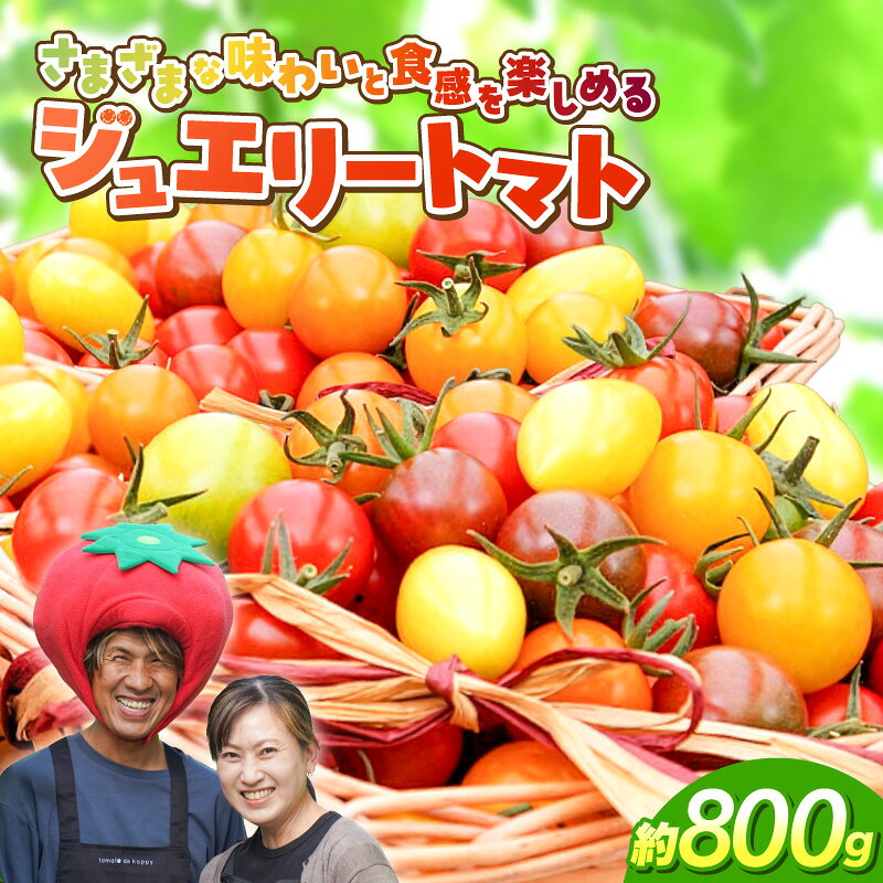 【ふるさと納税】【2027年発送】先行受付 ジュエリートマト 約 800g お試し 長田農園 フルーツ ミニトマト トマト カラフル 色とりどり 野菜 宝石箱 新食感 甘い 濃厚 完全木熟 塩農法 ハウス栽培 美容 健康 リコピン お取り寄せ 食品 産地直送 愛知県 碧南市 送料無料