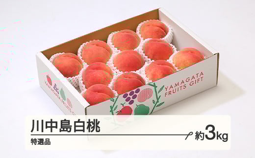 
            もも 桃 川中島白桃 特選品 約3kg(6~12個程度)  2025年産 山形県産 ※沖縄・離島への配送不可 tf-moknt3
          
