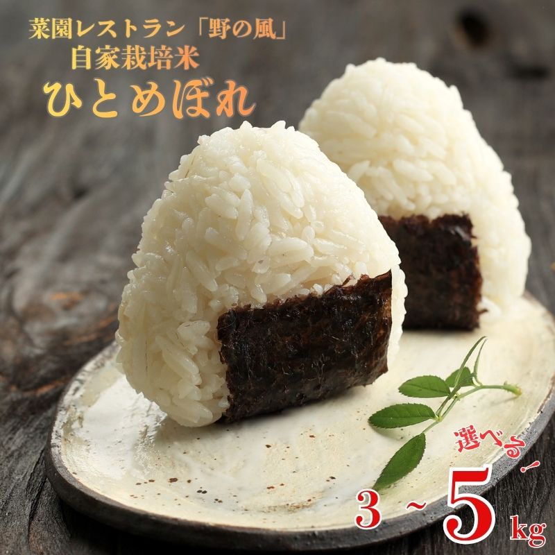 【ふるさと納税】米 菜園レストラン「野の風」自家栽培米 ひとめぼれ3kg or 5kg 令和7年産