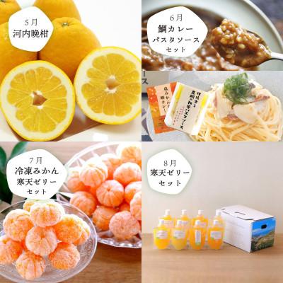 ふるさと納税 八幡浜市 【発送月固定定期便】愛媛の人気品種を厳選!みかん定期便(秀品)【H25-166】全12回 |  | 02