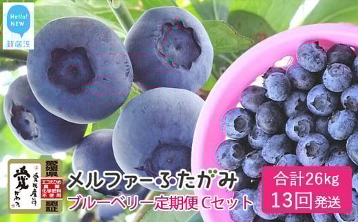 
            【定期便】 ブルーベリー三昧 Cセット（約26kg／13回発送）  完熟生ブルーベリー（8月中旬以降は冷凍ブルーベリー） エコえひめ認証
          