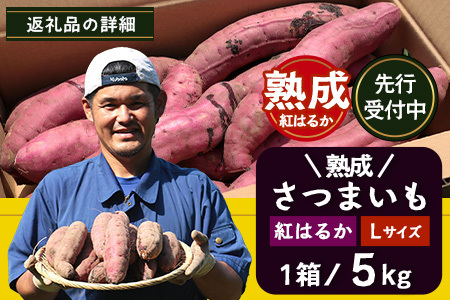 【先行予約】【鹿児島県産 】熟成 紅はるか 5kg (1箱 ) Lサイズ さつまいも（AX72216）