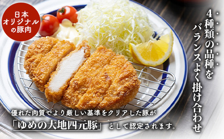 【北海道ブランド豚】「ゆめの大地」 豚ロースブロック 1kg【27007】