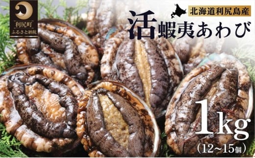 【10～12月発送受付】天然蝦夷『活』アワビ1ｋg　利尻島産【期間限定】利尻昆布を食べて育った美味しいあわび お正月 おせち 刺身 北海道 利尻 エゾアワビ
