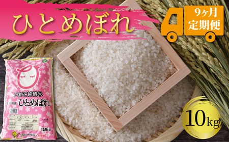 【9ヶ月定期便】岩手県産 一等米・ひとめぼれ（精米）10kg×9回