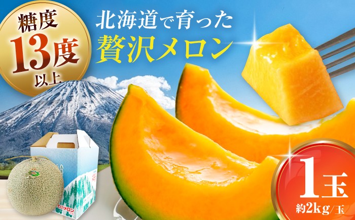 
                  【8月中旬以降順次発送】赤肉メロン 1玉《喜茂別町》【Aコープようてい】 メロン めろん melon 北海道 赤肉メロン 果物 くだもの 果汁 フルーツ 赤肉 先行予約 ご褒美 産地直送 甘い 国産 高糖度 定番 お取り寄せメロン [AJAK023]
                