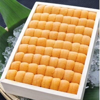 ふるさと納税 根室市 エゾバフンウニ弁当並べ詰め250g×2折[11月中旬以降発送] E-71030