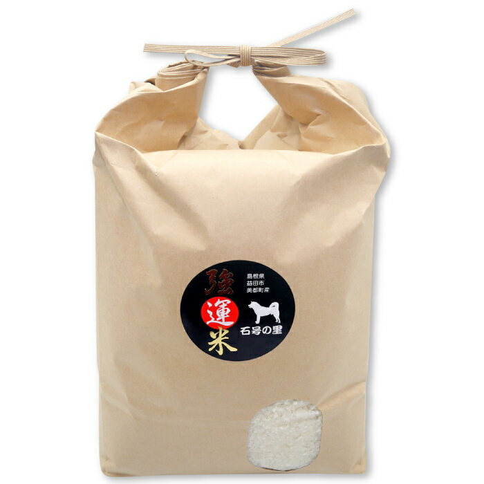 【ふるさと納税】強運米 白米 5kg 1袋 精米 産地直送 コシヒカリ ご飯 弁当 おにぎり 特産品 ブランド米 こだわり お米 お取り寄せ