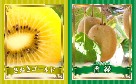 とれたて果物 3回定期便B |果物 フルーツ 果物定期便 フルーツ定期便 定期便 いちご キウイ濃厚 旬の果物 定期 人気 おすすめ 贈答 贈り物 青果物 糖度 香川県 |_mk165-t066