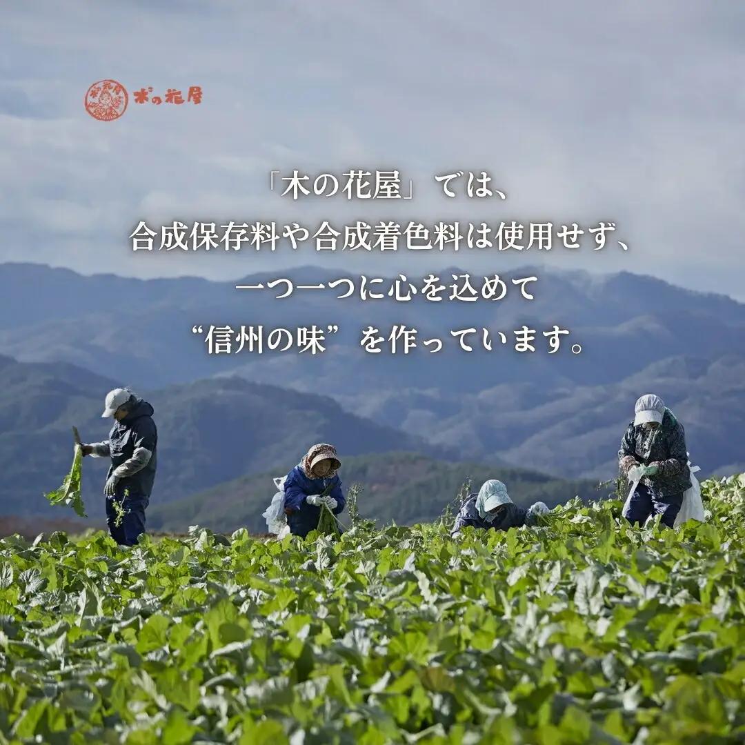 なめ茸 人気3種セット (160g×各2本) 計6本|なめ茸