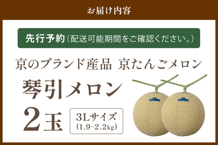 【先行予約】京たんごメロン 琴引メロン 3Lサイズ 2玉（2026年6月下旬～発送）