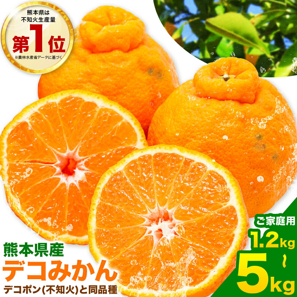 【ふるさと納税】不知火 デコみかん ( デコポン と同品種 ) ご家庭用 訳あり 熊本県産 ( 苓北町産含む )約1.2kg(3-6玉前後) or 3.5kg(8-16玉前後) or 約5kg (12-24玉前後) 柑橘 《2026年2月上旬-3月末頃出荷》 みかん フルーツ 不知火 訳アリ でこみかん 果物 5kg