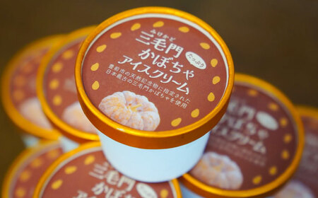 三毛門かぼちゃアイスクリーム《豊前》【三毛門南瓜保存会】[VDF003]アイス