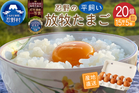 忍野の平飼い放牧卵20個（15個＋割れ保証5個）