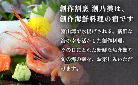 創作割烹潮乃美 利用補助券 10,000円 富山県 氷見市 宿泊 旅行 観光 宿泊券 チケット クーポン 海鮮