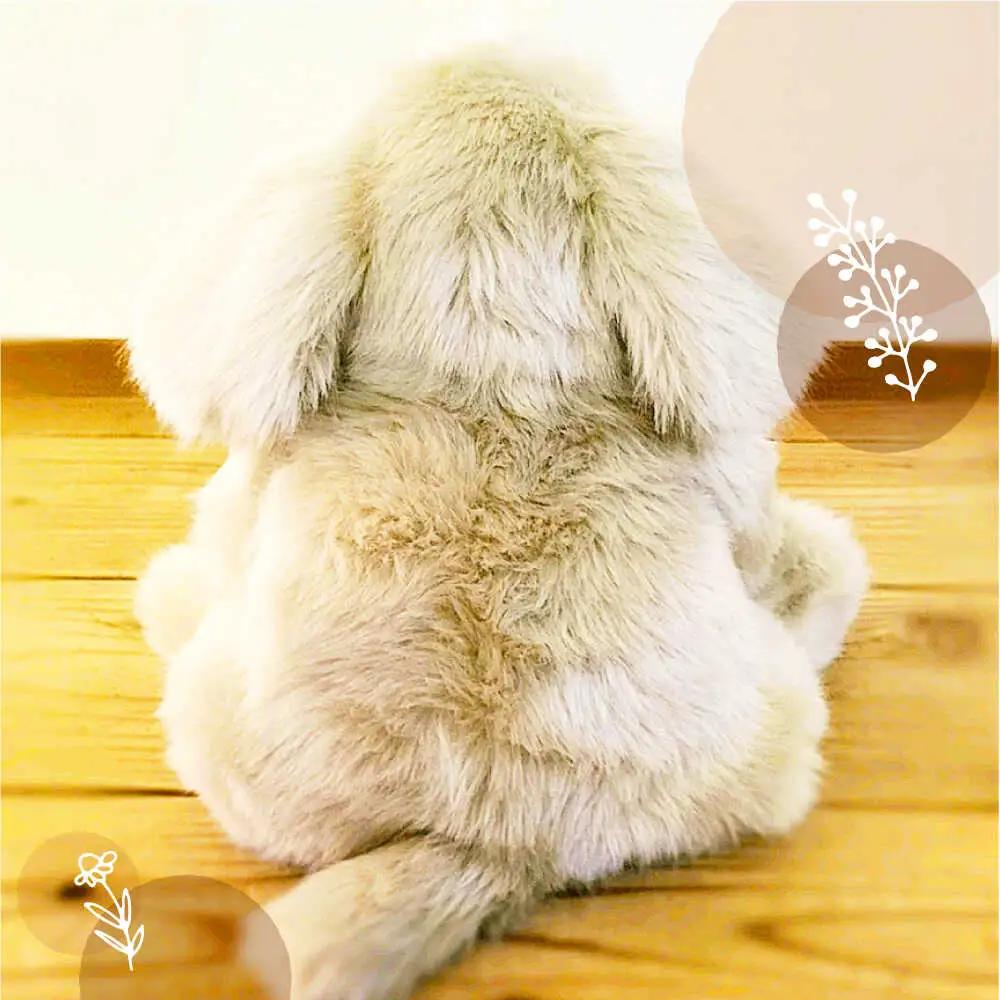 パトランミニ・ナチュラル 糸島市 / 科学工房未来 犬 ペット ぬいぐるみ [AYI007] いぬ 動物