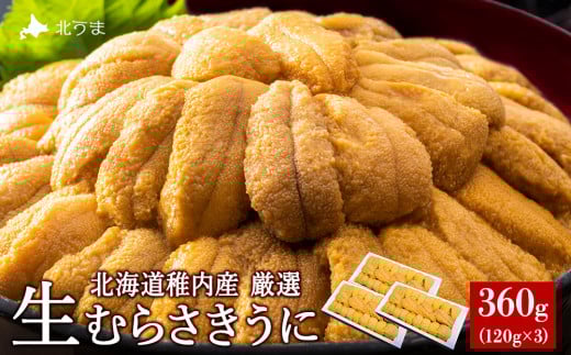 美味しいウニは昆布の名産地にあり!生むらさきうに360g
