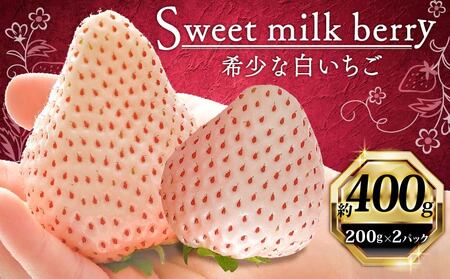 【高級】白いちご |  400g 高級 いちご | 白いちご