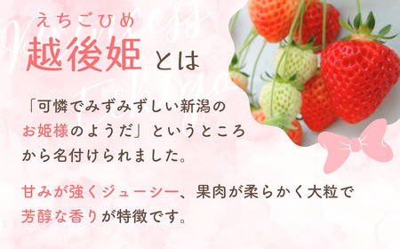 【いちごジャム】コンフィチュール ジャム （100g 3個） 越後姫 | ジャム 新潟県 出雲崎町