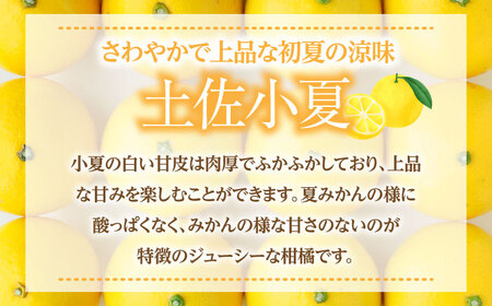 土佐小夏約2.5kg　18個前後　M サイズ　さわやかな甘さが絶品