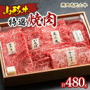 【ふるさと納税】焼肉名匠山牛特選焼肉 480g FY23-127 山形 お取り寄せ 送料無料 ブランド牛