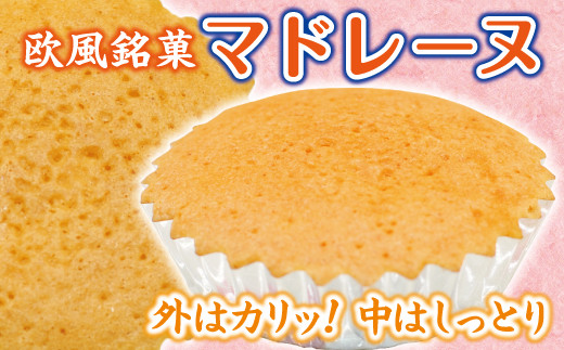 【外はカリッ！中はしっとり】マドレーヌ 10個入り