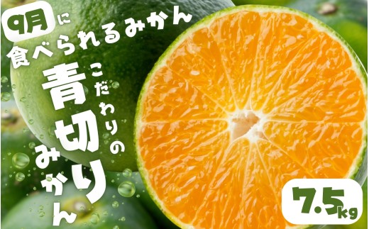 【2026年秋頃発送予約分】【農家直送】こだわりの青切りみかん 約7.5kg  有機質肥料100%　 サイズ混合　※2026年9月下旬より順次発送予定（お届け日指定不可）【nuk107E】