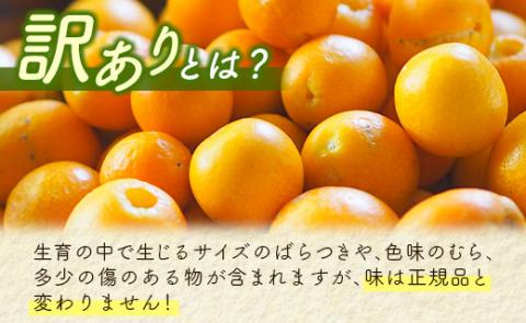 【先行予約】宮崎県西都市産　訳あり完熟きんかん　3kg（3L～L）＜1.2-41＞W