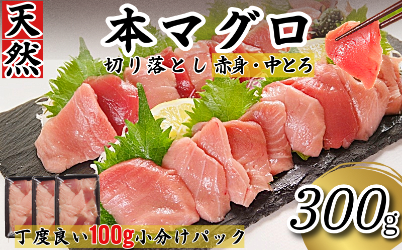 天然本まぐろ 切り落とし 300g(100g×3P） マグロ 本まぐろ 中とろ 赤身 天然 鮪 小分け 冷凍 刺身 漬け 晩酌 寿司 ユッケ マグロ丼 ねぎとろ 海鮮