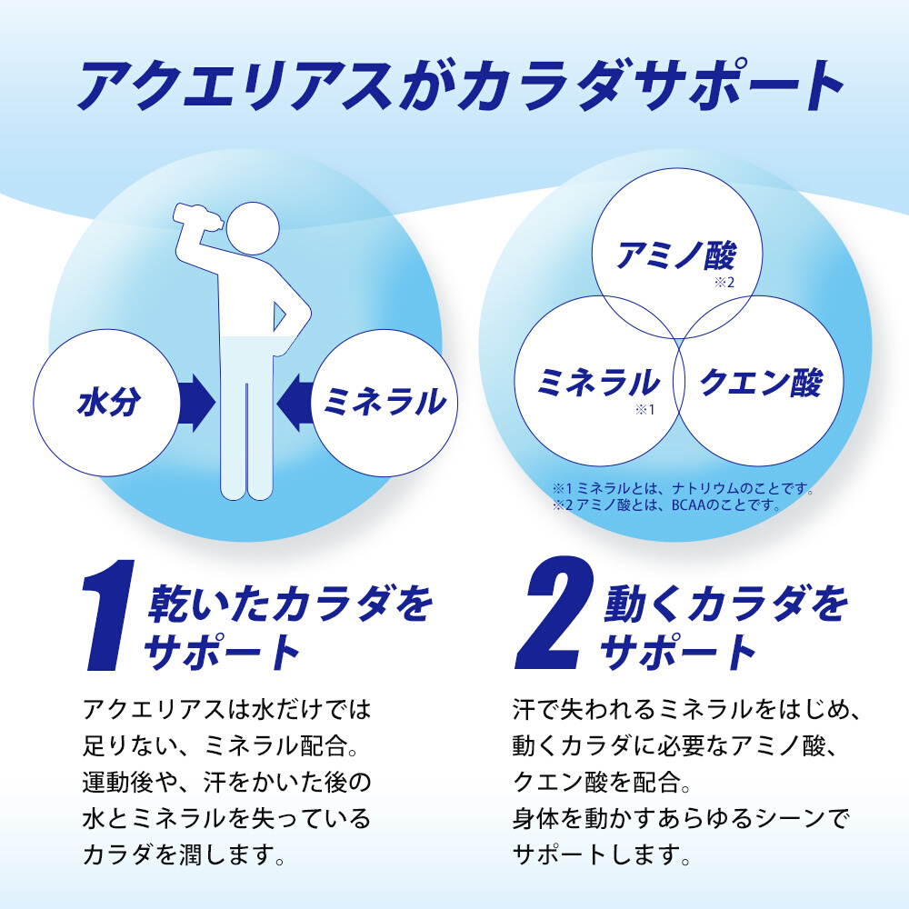 アクエリアスゼロ PET 500ml×48本(24本×2ケース) スポーツドリンク スポーツ飲料 清涼飲料水 水分補給 カロリーゼロ ペットボトル 箱買い まとめ買い 014021