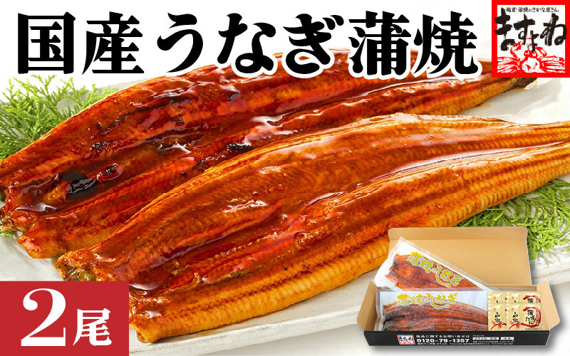 
[001-a009] ふっくら焼き上げ！国産うなぎ蒲焼き2尾セット【増米 ますよね うなぎ ウナギ 鰻 化粧箱入り ギフト 贈答 贈り物 プレゼント のし 熨斗 冷凍 蒲焼 かば焼き ふんわり ふっくら仕上げ お中元 御中元 お歳暮 ギフト 贈り物 プレゼント】
