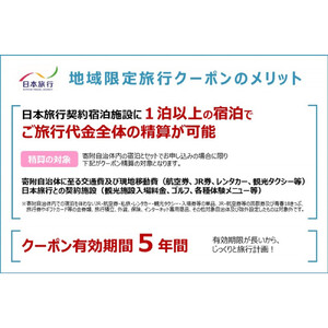 沖縄県那覇市　日本旅行　地域限定旅行クーポン60,000円分